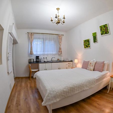 Transilvania Apartment Sibiu Buitenkant foto