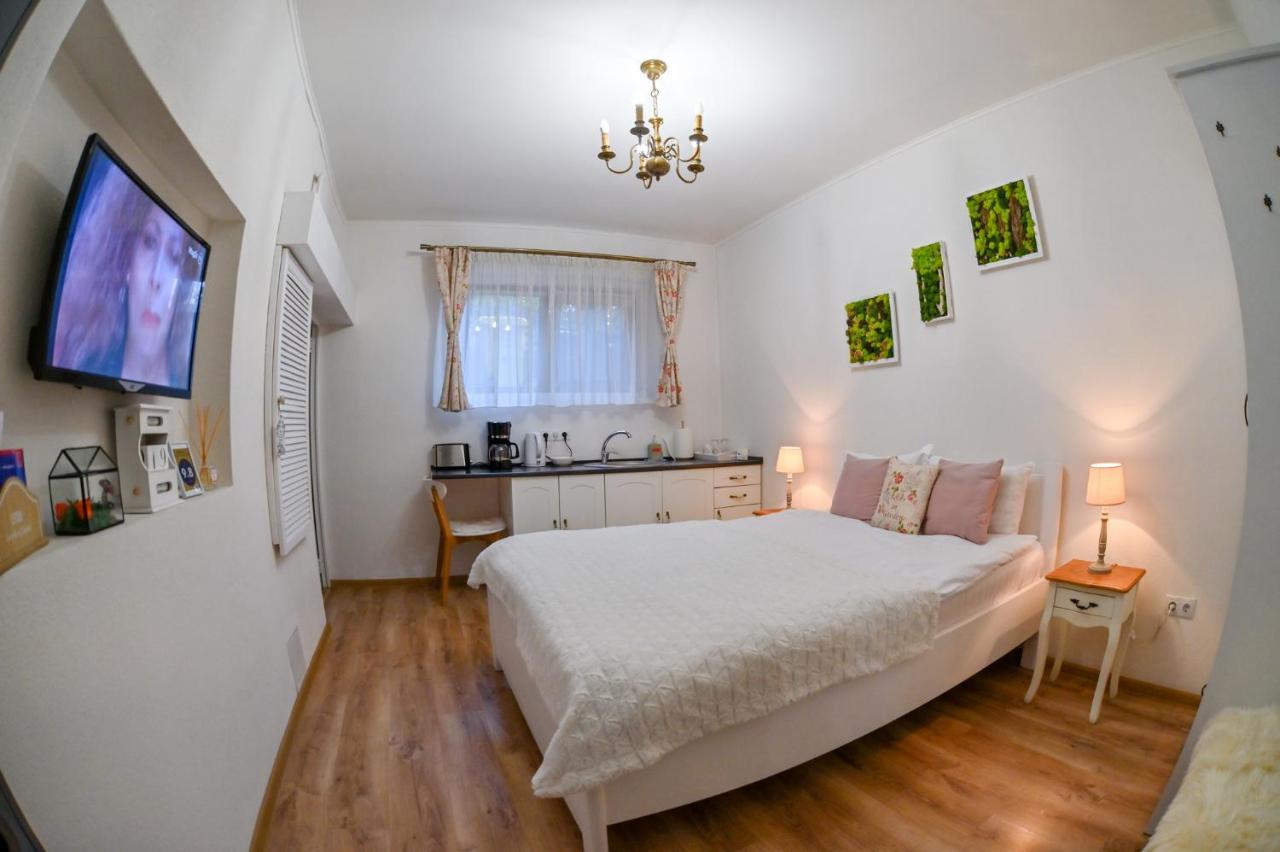 Transilvania Apartment Sibiu Buitenkant foto